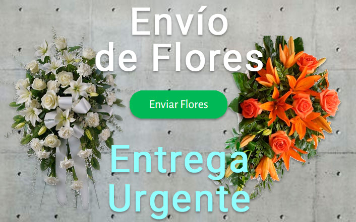 Envío de flores urgente a Tanatorio Girona